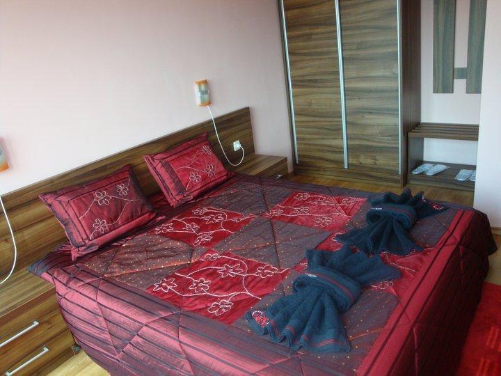 Tzvetelina Palace Hotel Долна-Баня Номер фото