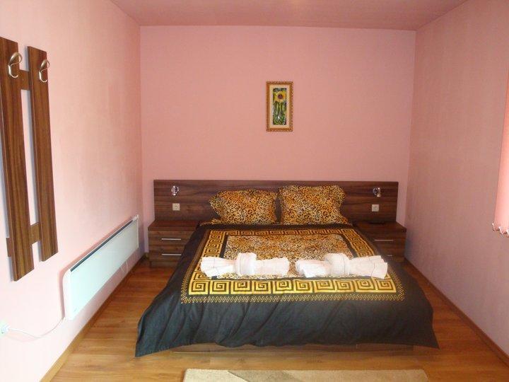 Tzvetelina Palace Hotel Долна-Баня Номер фото